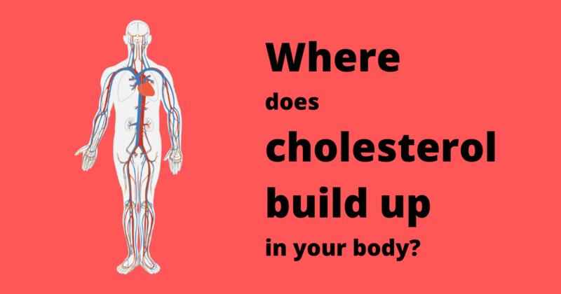 Where does cholesterol build up in your body?